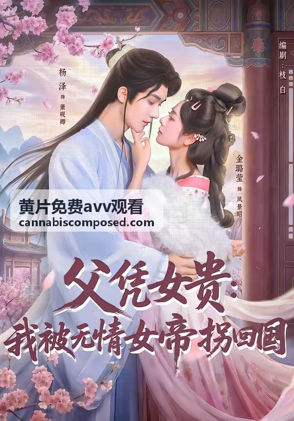 黄片免费avv观看 高清片源分類頁面示意